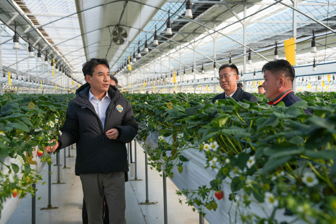 20260107 한파대비 농업시설 현장점검(김진태 도지사 - 양구군 일원) (3) (2)