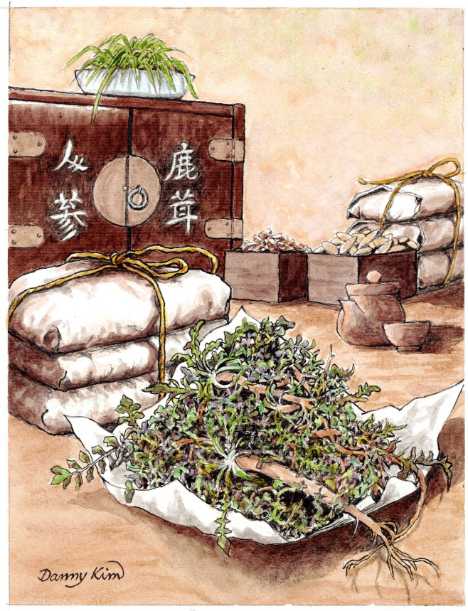 (67) 겨울냉이 그림