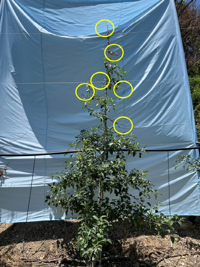 NISI20260112_0002038695_web