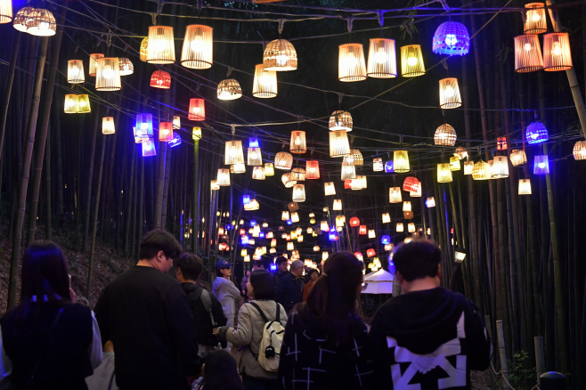 담양대나무축제 (2)