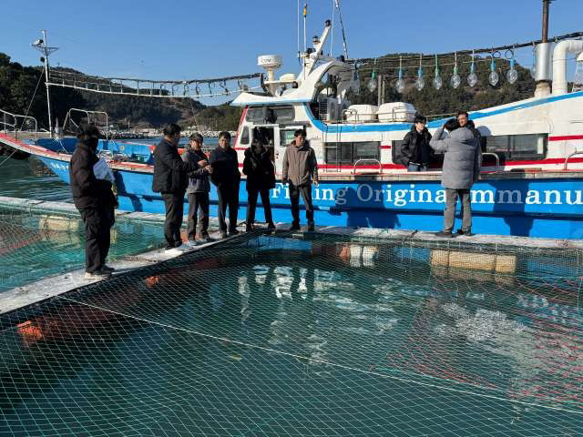 저수온 예비특보 속 양식어가 피해 예방 ‘총력’