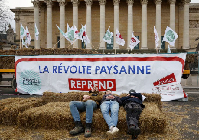 화면 캡처 2026-01-14 094753