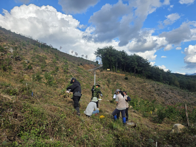 강언 현장중심 산림소득 수종연구 모습