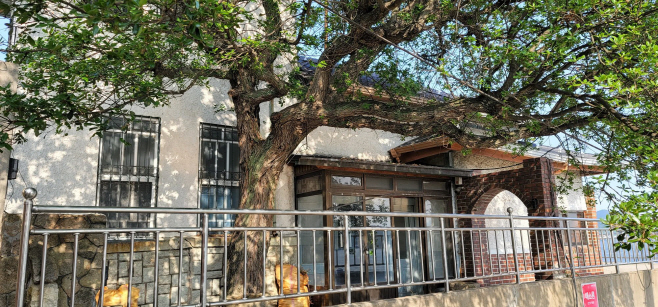 1-1.목포시, 근현대 역사 담은 향토유산 4건 신규 지정(도시유산과)(목포 금화동 3-8번지 가옥)