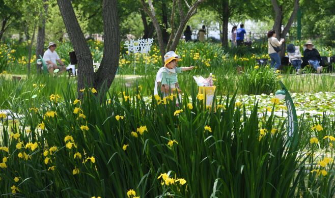 창포원 관광객(2025)3
