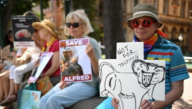 PEP20200301257701848_P2_20200301210919951