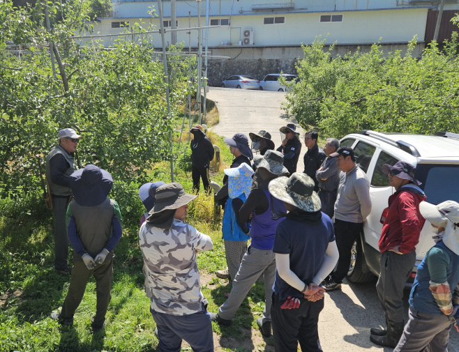 260119 합천군 보도자료(합천군 품목별 농업인연구회 육성 성과 가시화) (2)
