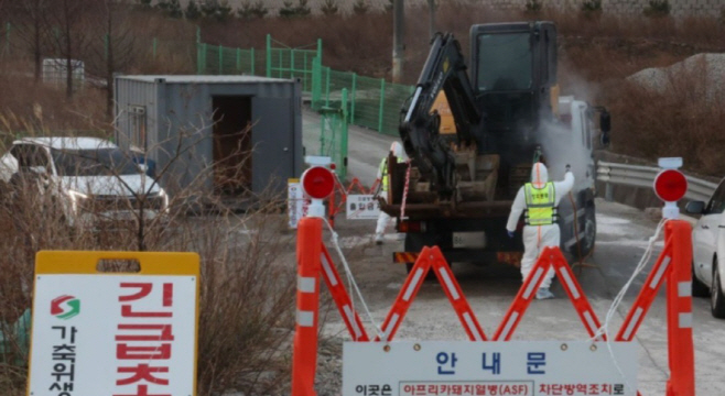강릉시 아프리카돼지열병 긴급 방역 모습.
