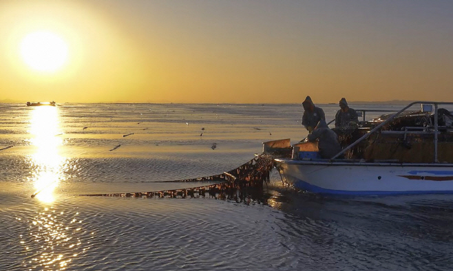 전세계 입맛 사로잡은 ‘충남 김’ 수출액 역대 최고
