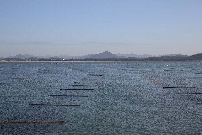 전세계 입맛 사로잡은 ‘충남 김’ 수출액 역대 최고