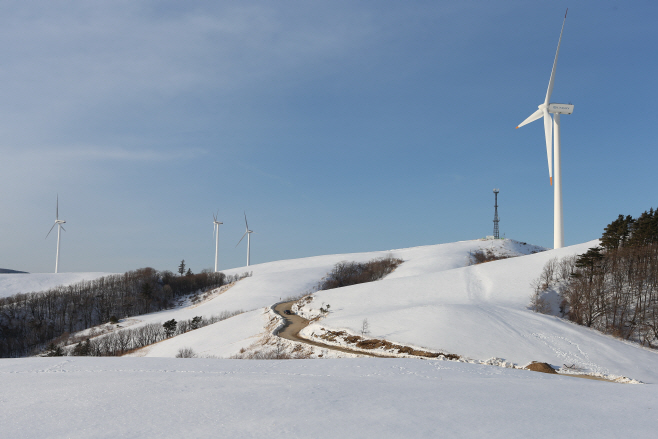 대관령 삼양목장