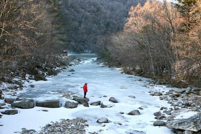 오대산_선재길 (1)