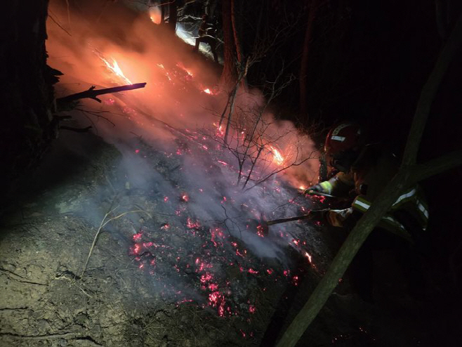 NISI20260113_0002039743_web