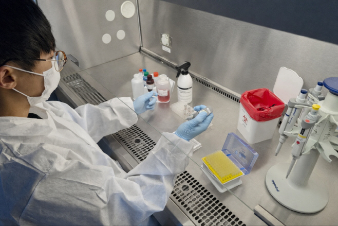 사진(BL2+실험실+BSC내+정밀검사)