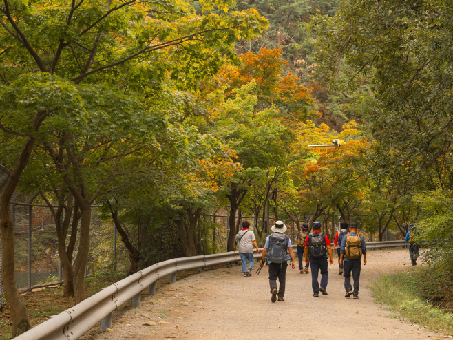 서울대 안양수목원 풍경 사진2(2025년 10월)