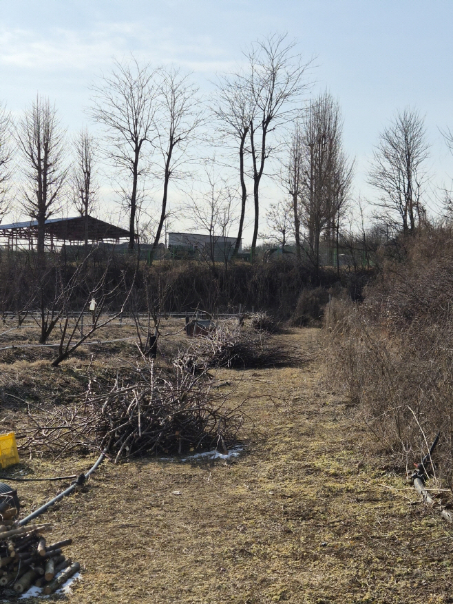 예산군, 찾아가는 영농부산물 안전처리 파쇄 지원단 운영