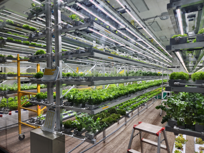 계양구 우수농산물관리 인증 농산물 전경