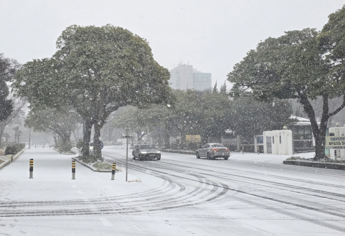 눈 내리는 제주<YONHAP NO-2820>