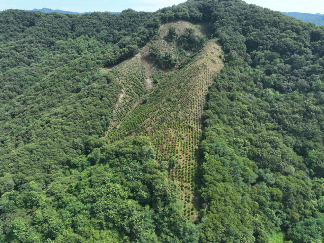 예산군, 2026년도 ‘숲으로 잘사는 지속가능한 예산’ 본격 시동