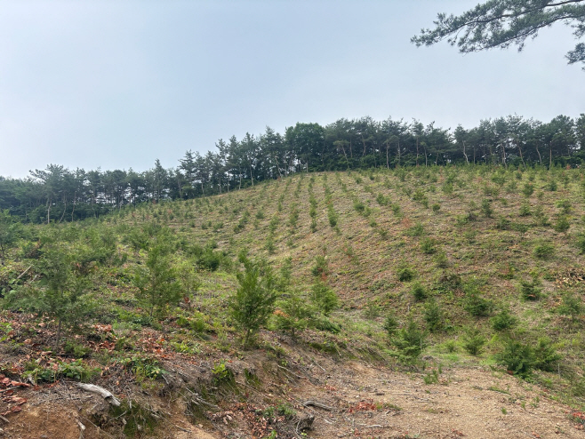 예산군, 2026년도 ‘숲으로 잘사는 지속가능한 예산’ 본격 시동
