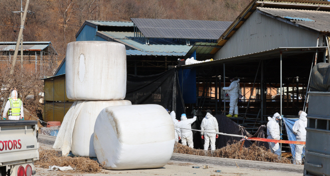 구제역 발생한 한우농장<YONHAP NO-2391>