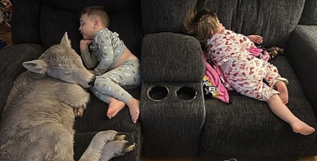 화면 캡처 2026-02-01 160457