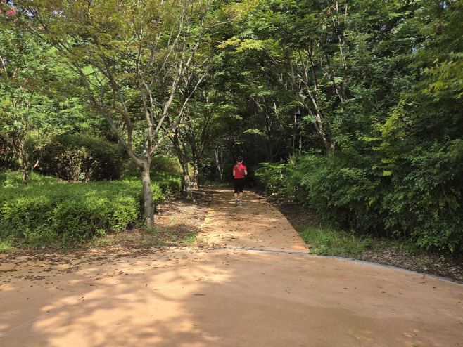 ‘누구에게나 열린 숲길’ 전주시 건지산 무장애 나눔길 조성 완료 (1)
