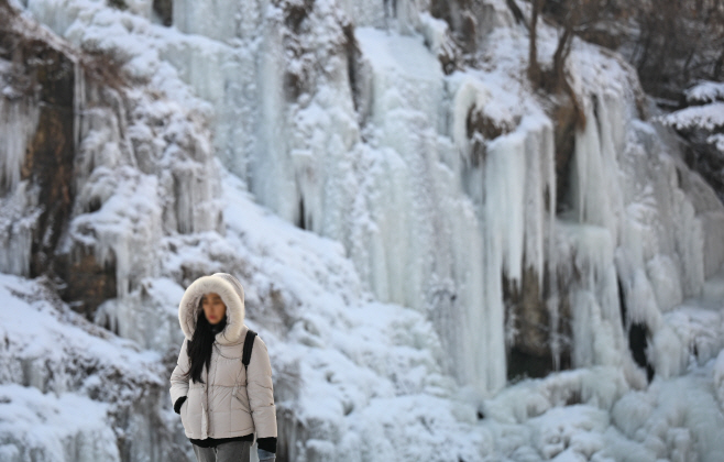 밤사이 내린 눈3