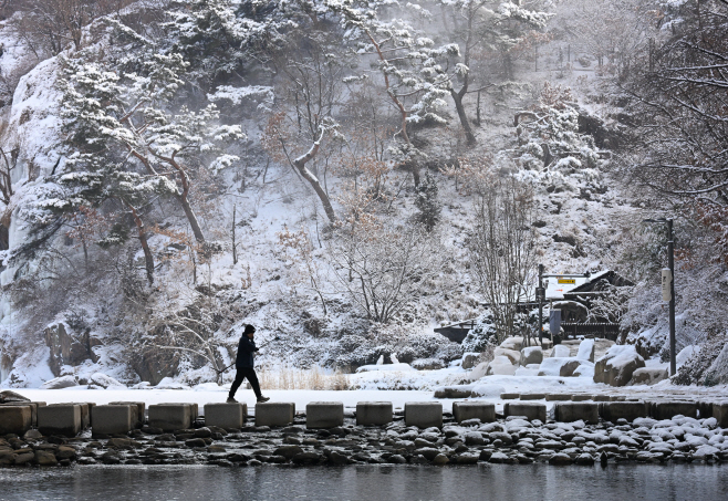 밤사이 내린 눈2