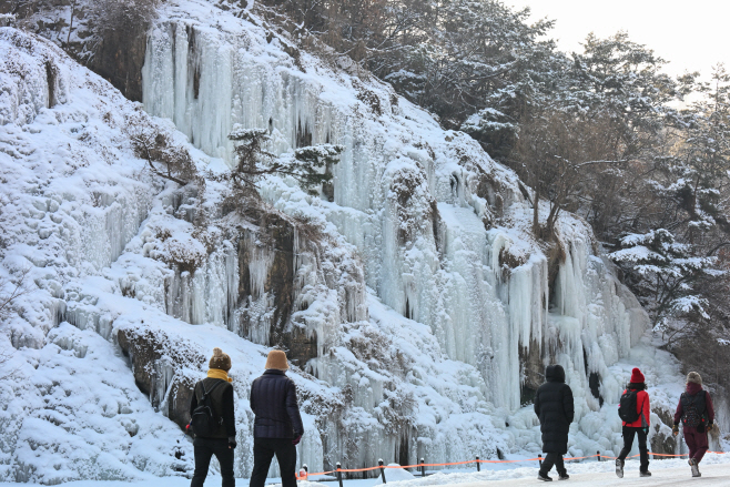 밤사이 내린 눈6