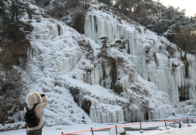 밤사이 내린 눈3