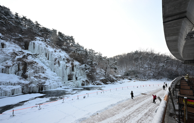 밤사이 내린 눈1