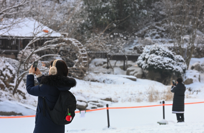 밤사이 내린 눈1