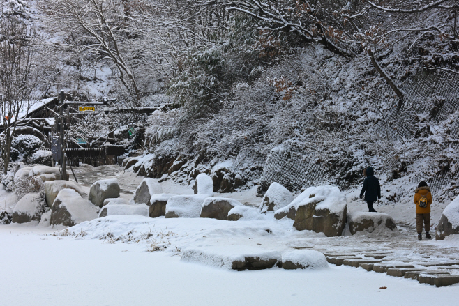 밤사이 내린 눈1