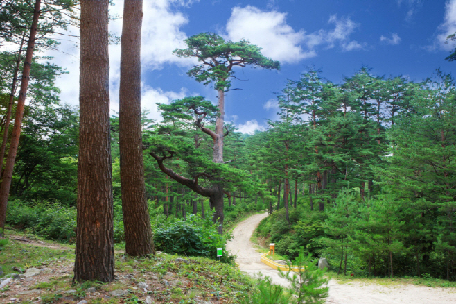 kuk20260109000014.800x.0