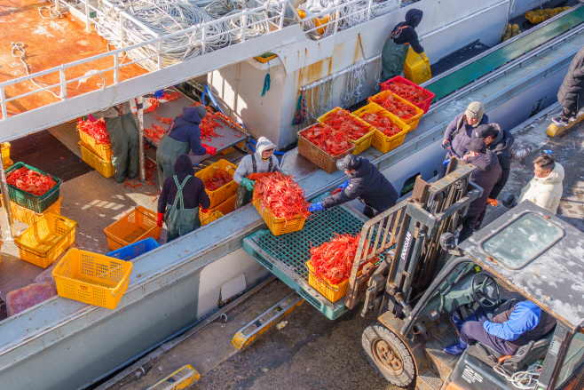 울진_후포항 위판_202601_103