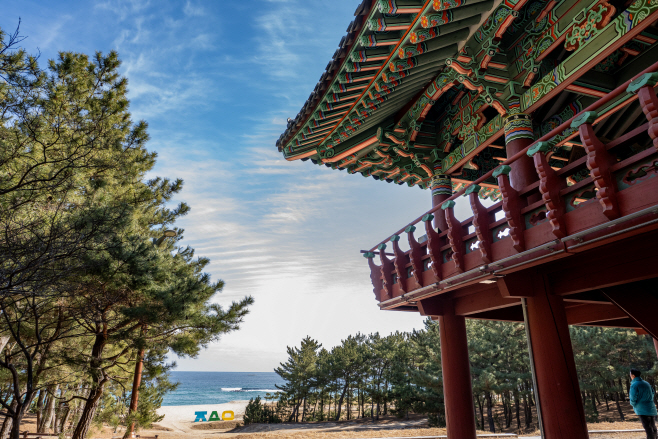 울진_월송정_202601_008_resize