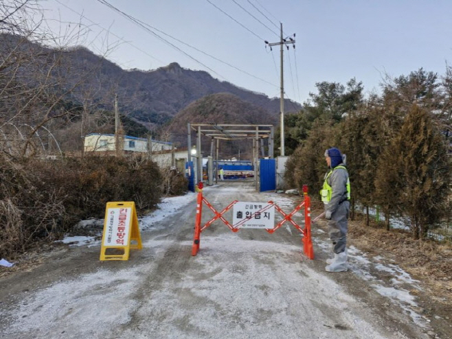 아프리카돼지열병