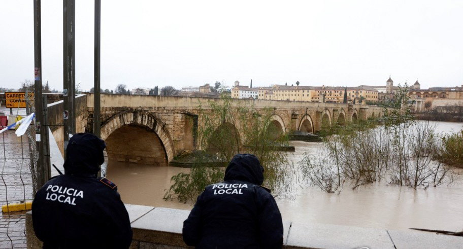 화면 캡처 2026-02-08 092158