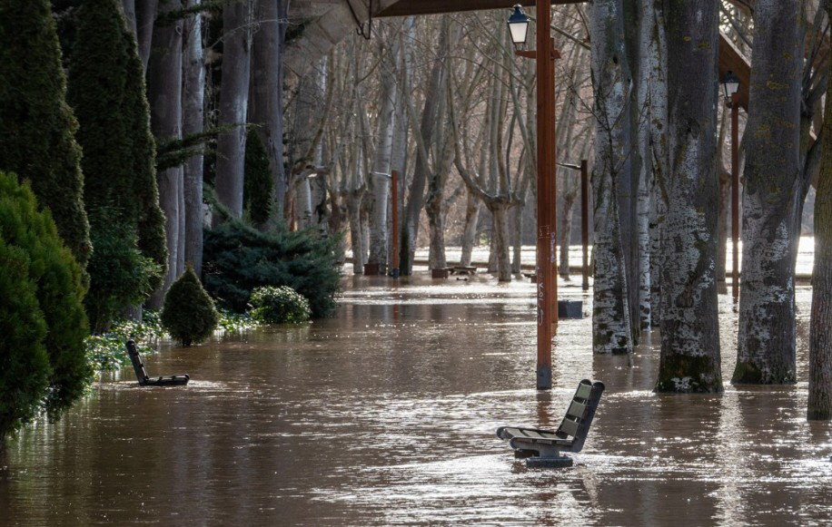 화면 캡처 2026-02-08 095002