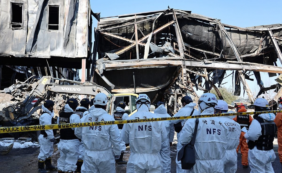 PYH2026020309140006400_P4