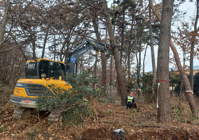 태안군, 109억 투입해 소나무재선충병 막는다