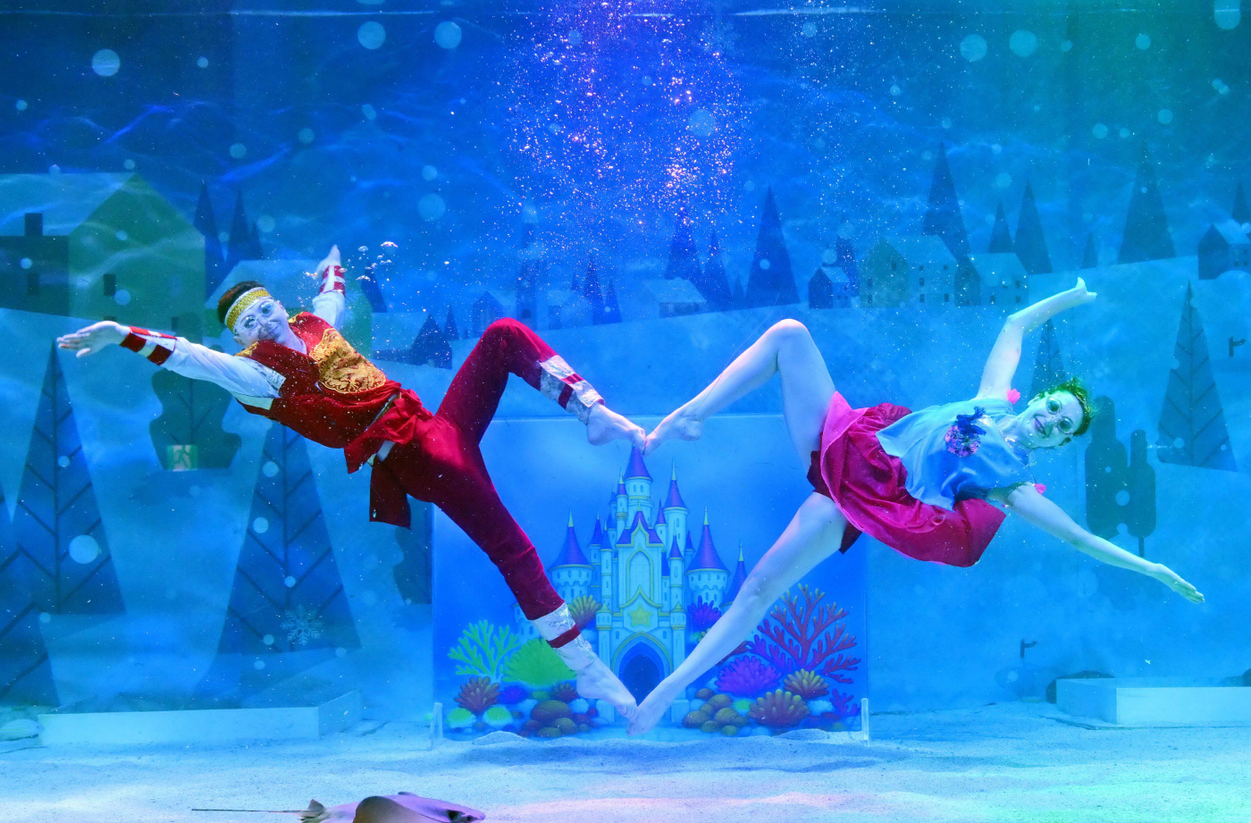 코엑스 아쿠아리움 수중 세배-4334