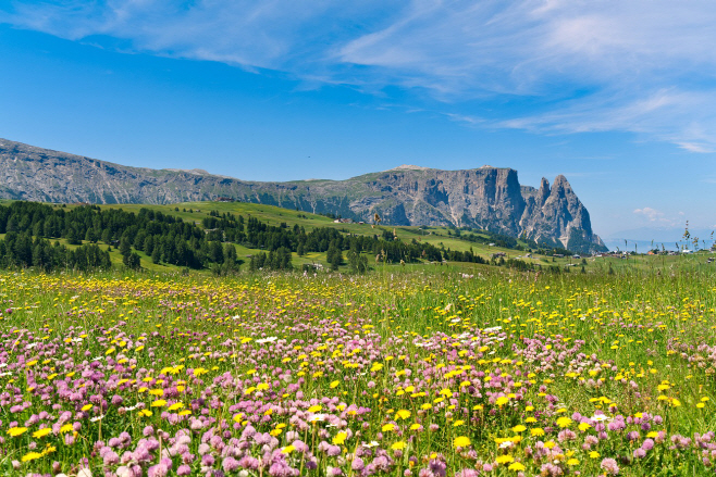 [롯데관광개발] 롯데관광개발, 직항 전세기로 떠나는 이탈리아 돌로미티 여행 상품 출시 (2)