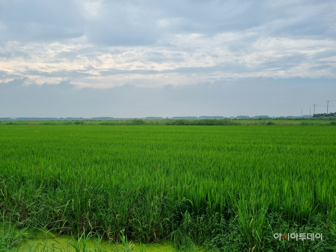 2025121001000938500054131