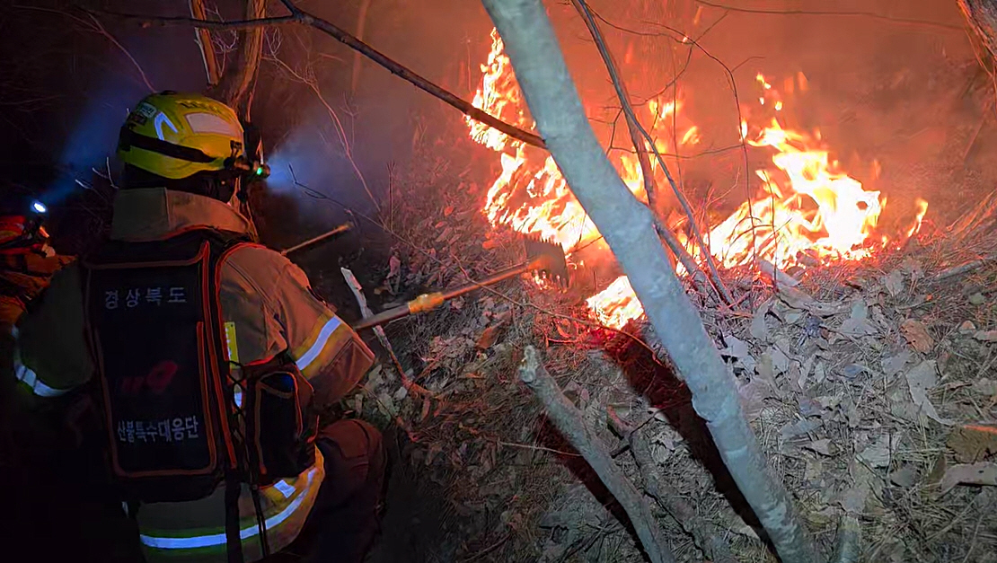 야간에도 경주 산불 진화