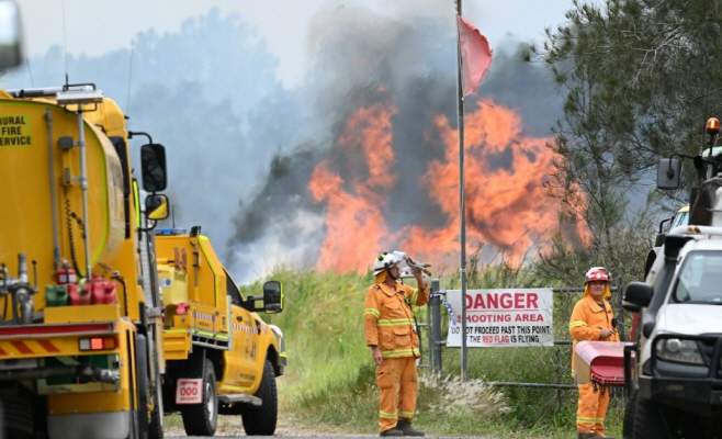 화면 캡처 2026-02-19 162222