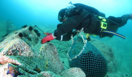 삼척 바다숲 조성2