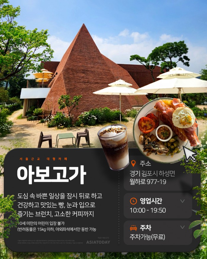 카드 뉴스 이미지