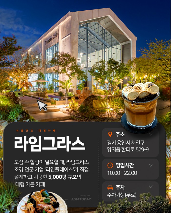 카드 뉴스 이미지